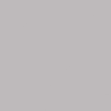 Pigment Paste - Light Grey - D03 | 250g