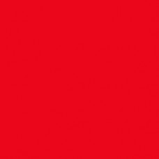 Pigment Paste - Big Red - D06 | 250g