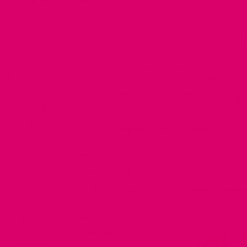 Pigment Paste - Pink - D09 | 250g