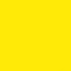 Pigment Paste - Medium Yellow - D11 | 250g