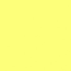 Pigment Paste - Bright Yellow - D13 | 250g