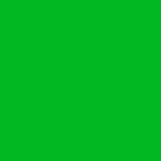 Pigment Paste - Apple Green - D20 | 250g