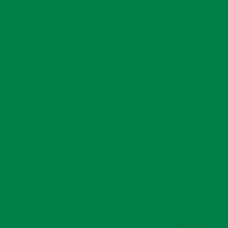 Pigment Paste - Iron Green - D41 | 250g